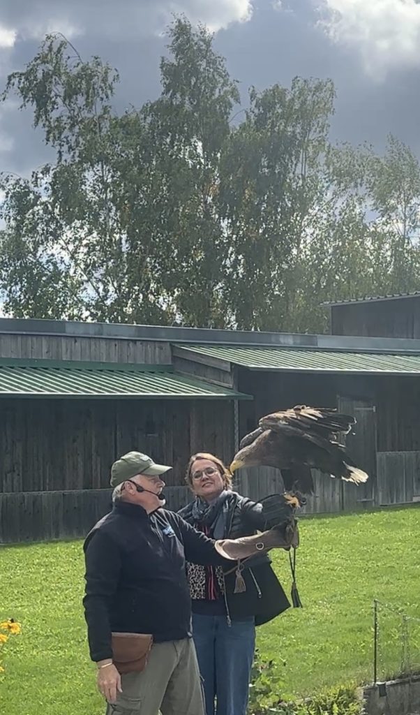 BAYERNPARK UND GREIFVOGELFLUGSHOW